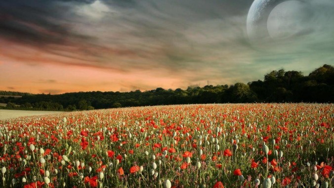 &ldquo;哨兵模式&rdquo;涉嫌泄密，你支持封杀特斯拉吗？